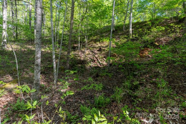 99999 Shady Bark Lane 41, Rutherfordton, NC 28139