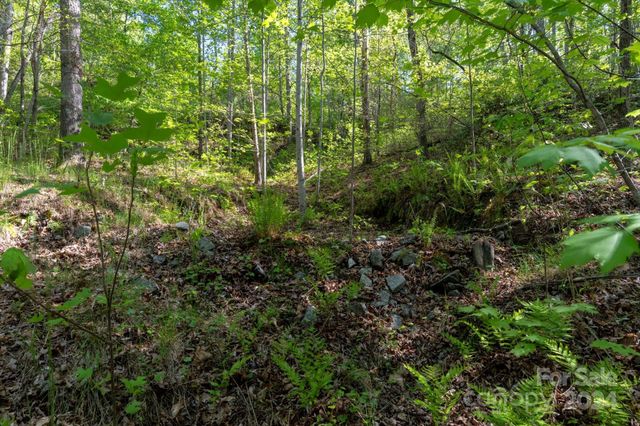 99999 Shady Bark Lane 41, Rutherfordton, NC 28139