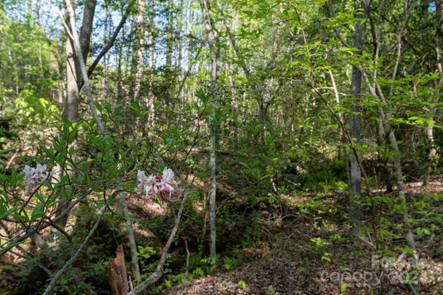 99999 Shady Bark Lane 41, Rutherfordton, NC 28139