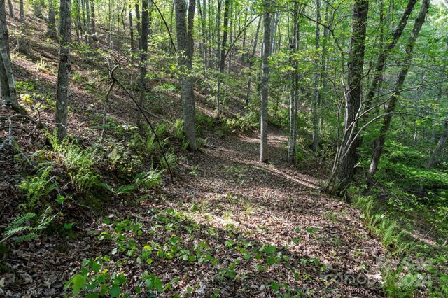 99999 Shady Bark Lane 41, Rutherfordton, NC 28139