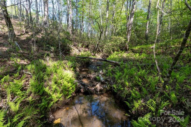 99999 Shady Bark Lane 41, Rutherfordton, NC 28139