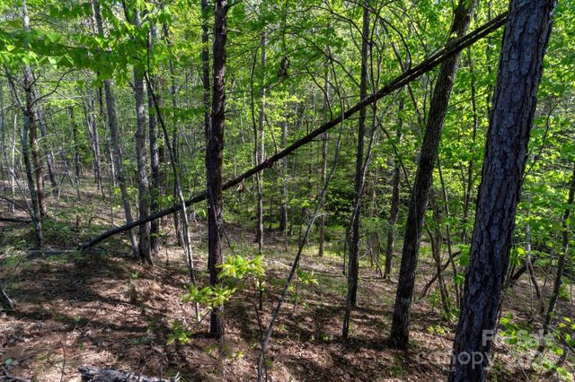 99999 Shady Bark Lane 41, Rutherfordton, NC 28139