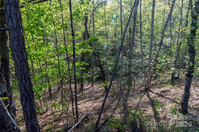 99999 Shady Bark Lane 41, Rutherfordton, NC 28139