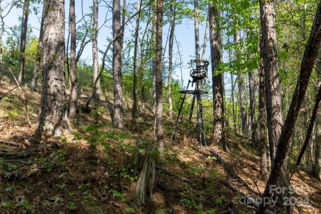 99999 Shady Bark Lane 41, Rutherfordton, NC 28139