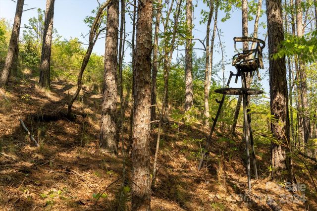 99999 Shady Bark Lane 41, Rutherfordton, NC 28139