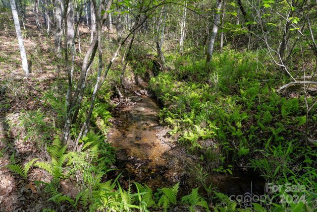 99999 Shady Bark Lane 41, Rutherfordton, NC 28139