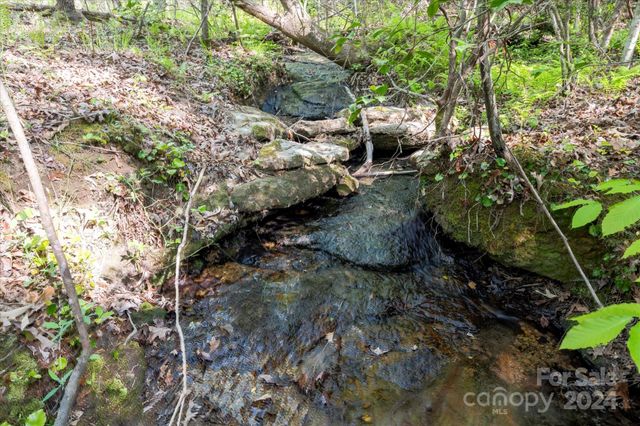 99999 Shady Bark Lane 41, Rutherfordton, NC 28139