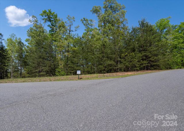 99999 Shady Bark Lane 41, Rutherfordton, NC 28139