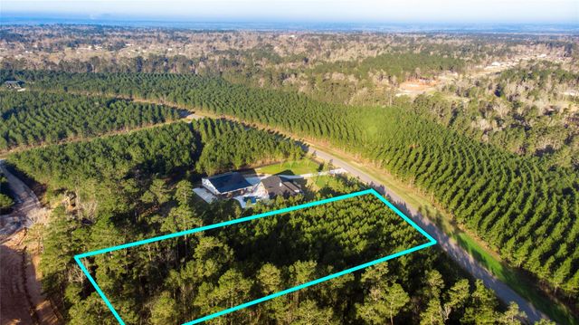 15675 Ridge Rock Road, Willis, TX 77378