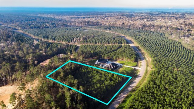 15675 Ridge Rock Road, Willis, TX 77378