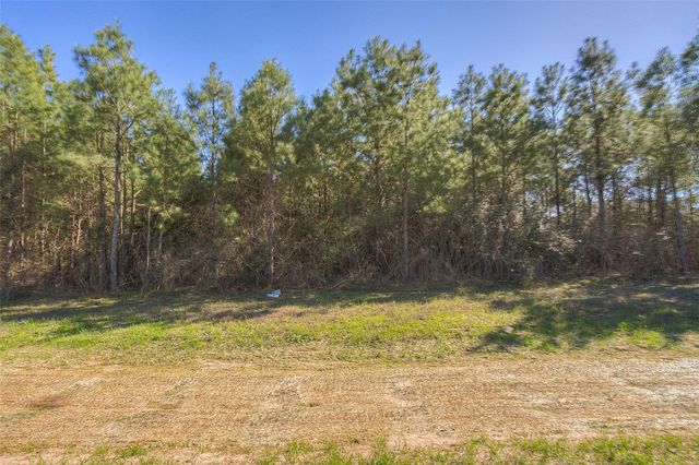 15675 Ridge Rock Road, Willis, TX 77378