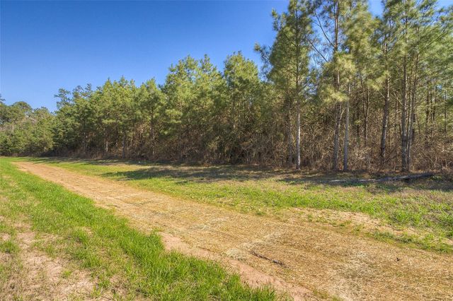 15675 Ridge Rock Road, Willis, TX 77378