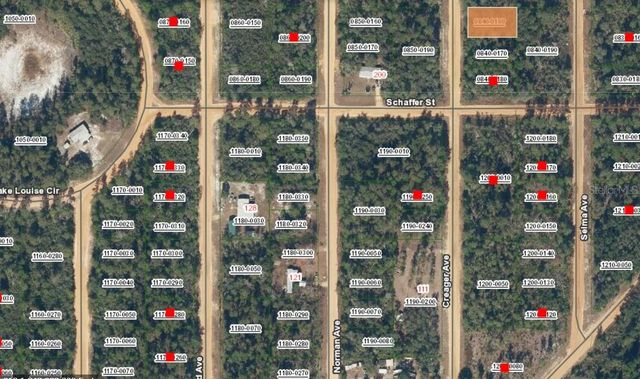 00 CREAGER AVENUE, Interlachen, FL 32148