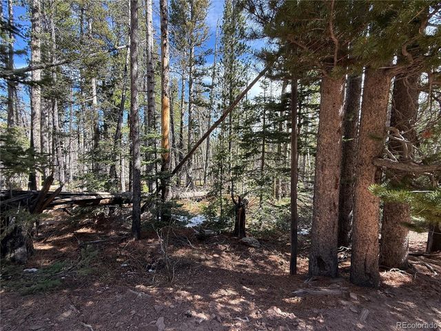 Lot 3408 Drexler Place, Fort Garland, CO 81133