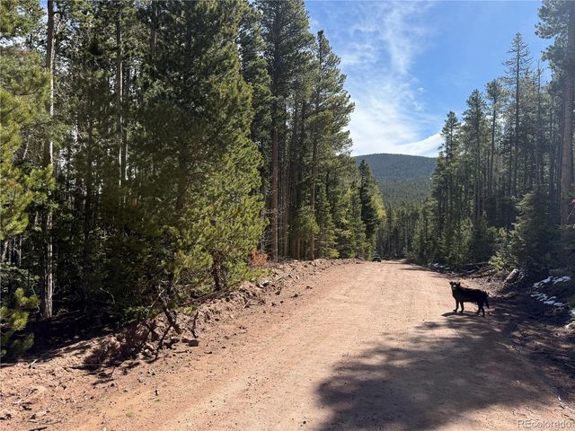 Lot 3408 Drexler Place, Fort Garland, CO 81133