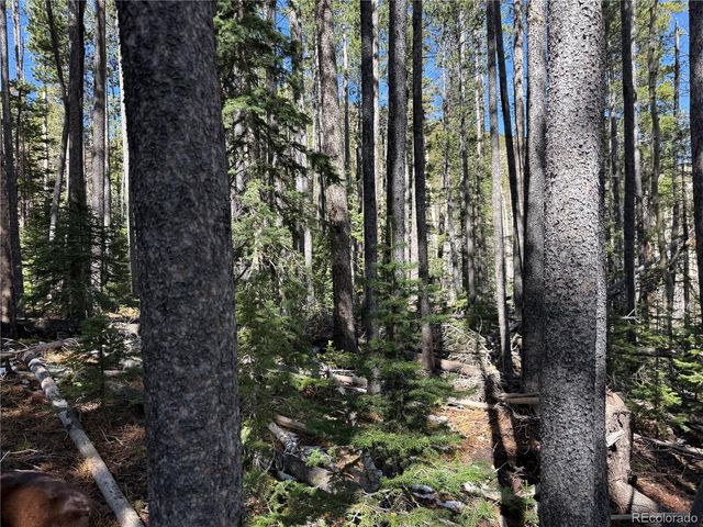 Lot 3408 Drexler Place, Fort Garland, CO 81133
