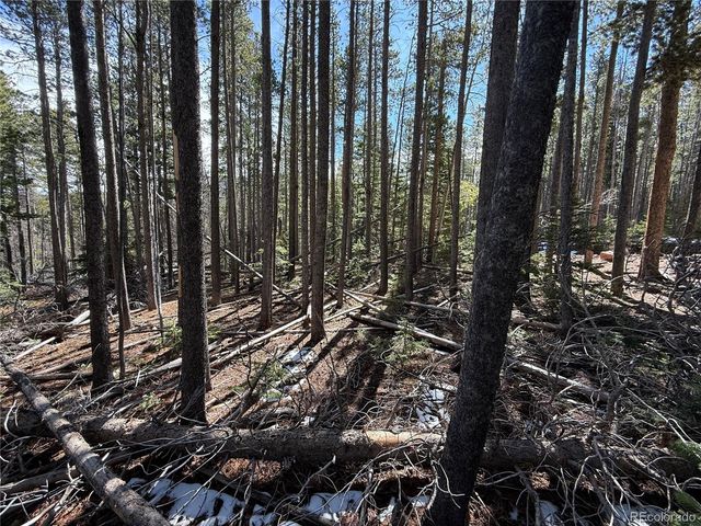 Lot 3408 Drexler Place, Fort Garland, CO 81133