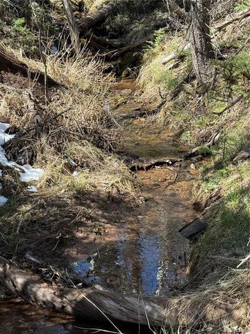Lot 3408 Drexler Place, Fort Garland, CO 81133