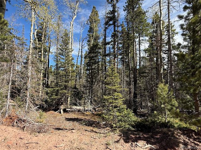 Lot 3408 Drexler Place, Fort Garland, CO 81133