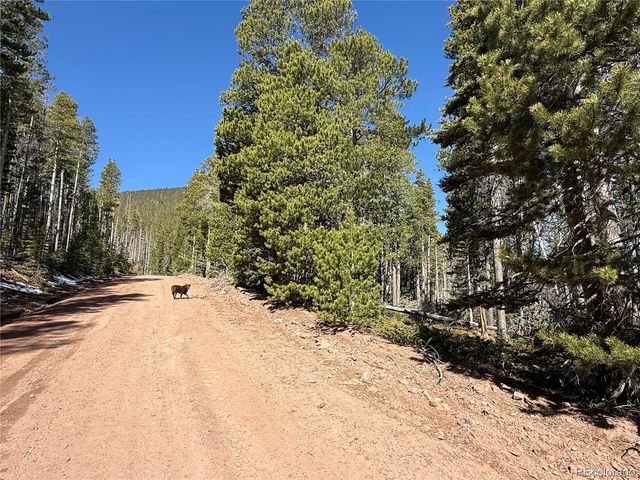 Lot 3408 Drexler Place, Fort Garland, CO 81133