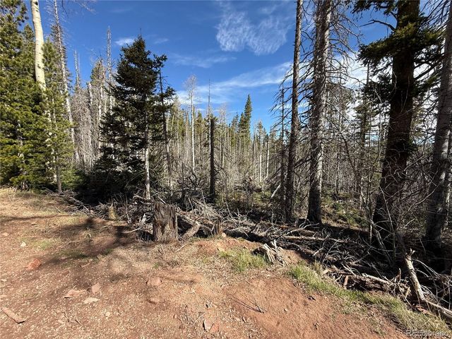 Lot 3408 Drexler Place, Fort Garland, CO 81133