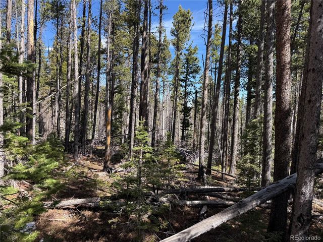 Lot 3408 Drexler Place, Fort Garland, CO 81133