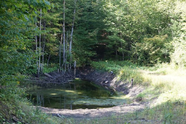 452 Vertical Mile Road, Sheffield, VT 05866