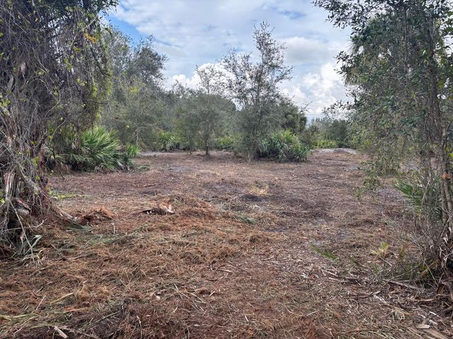 0 NW 290th Street, Okeechobee, FL 34972