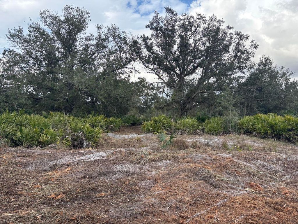 0 NW 290th Street, Okeechobee, FL 34972