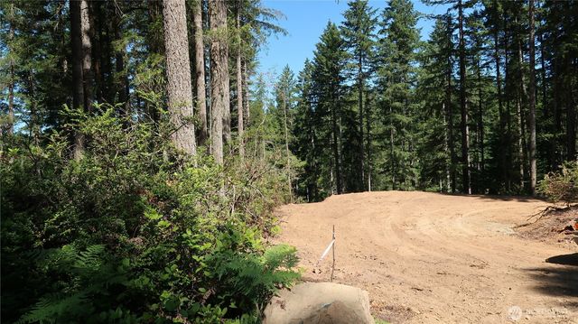 431 NE Collins Lake Dr., Tahuya, WA 98588