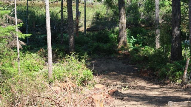 431 NE Collins Lake Dr., Tahuya, WA 98588