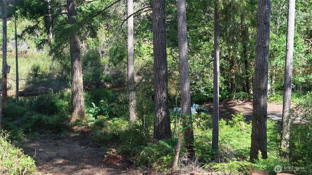 431 NE Collins Lake Dr., Tahuya, WA 98588
