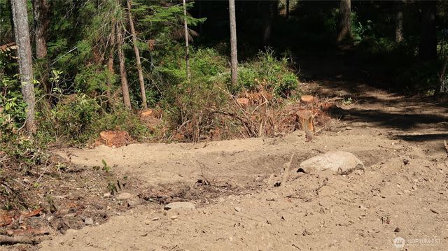 431 NE Collins Lake Dr., Tahuya, WA 98588