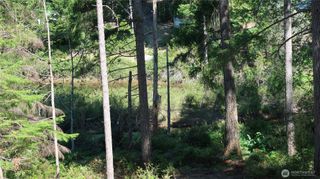 431 NE Collins Lake Dr., Tahuya, WA 98588