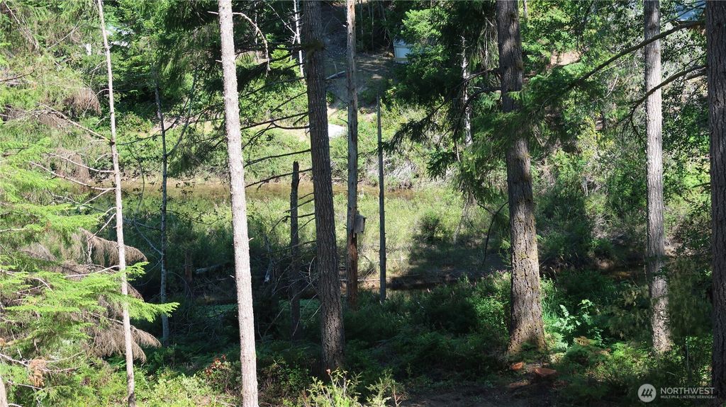 431 NE Collins Lake Dr., Tahuya, WA 98588