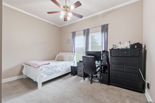 33876 Cypress Bluff Dr, Denham Springs, LA 70706