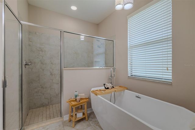 9123 RAES CREEK PLACE, Palmetto, FL 34221