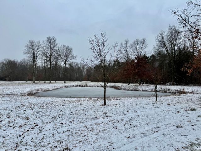 5480 117th Avenue, Clyde Twp, MI 49408