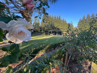 3955 Coffee #53, Modesto, CA 95355