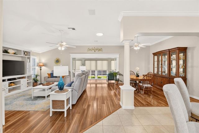 1705 MOUNT CROGHAN TRAIL, The Villages, FL 32162
