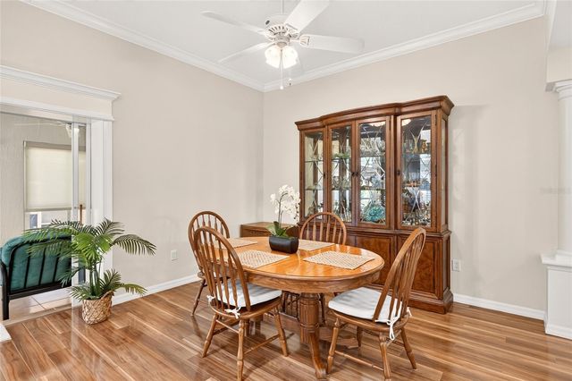 1705 MOUNT CROGHAN TRAIL, The Villages, FL 32162