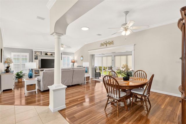 1705 MOUNT CROGHAN TRAIL, The Villages, FL 32162