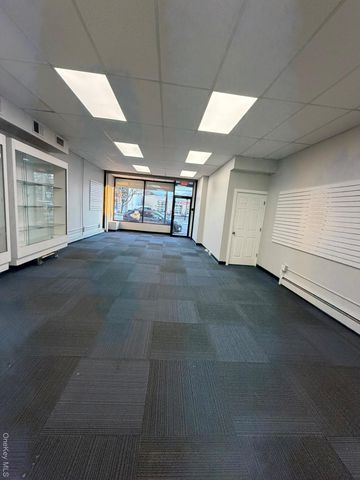 1015 Jericho Turnpike, New Hyde Park, NY 11040