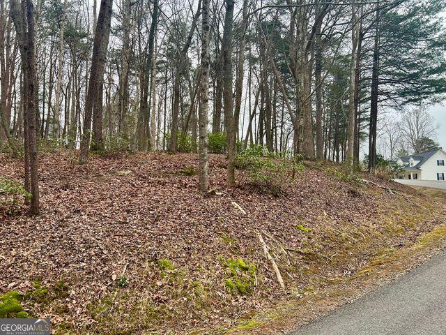 0 Willows Drive, Cleveland, GA 30528