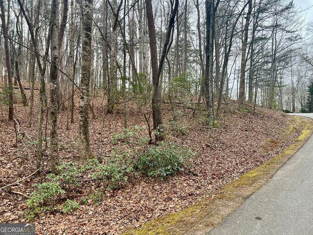 0 Willows Drive, Cleveland, GA 30528