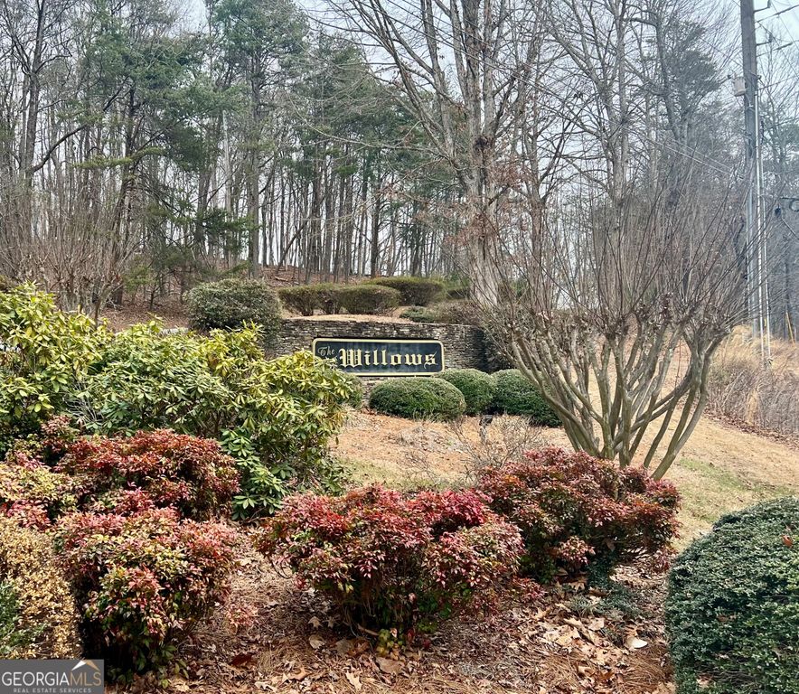 0 Willows Drive, Cleveland, GA 30528