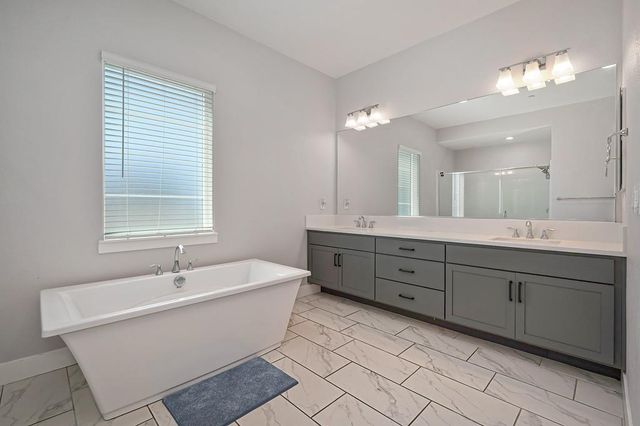 17203 Rosamond St, Lathrop, CA 95330