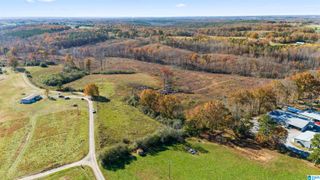 193 AC COUNTY ROAD 1069, Vinemont, AL 35179