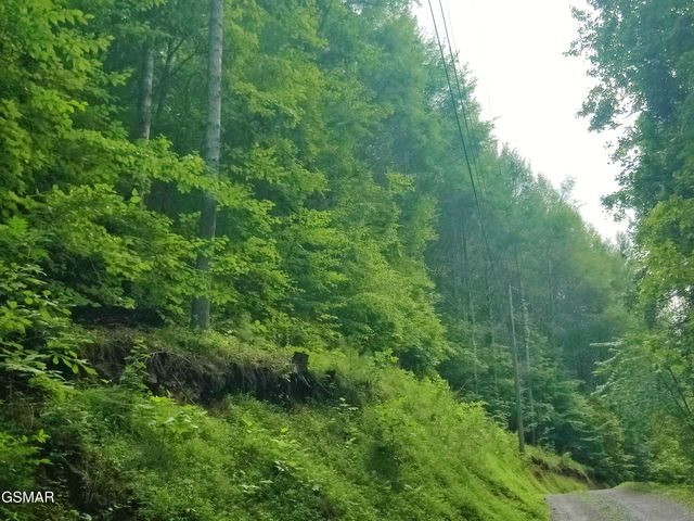 0 Old Hag Hollow Way, Sevierville, TN 37876