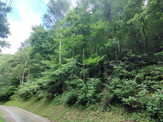 0 Old Hag Hollow Way, Sevierville, TN 37876